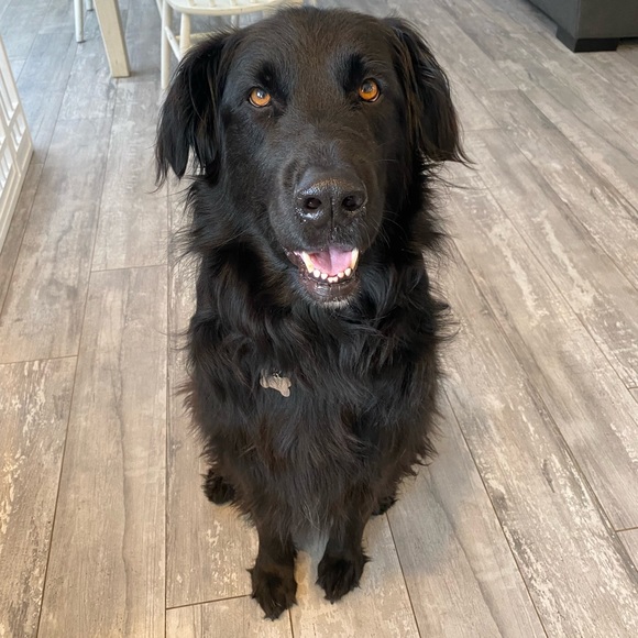 Meet your Posher, Erica SnowFlower - Picture 9 of 16